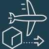 Air Shipping Icon